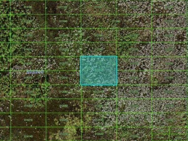 OLD GRADE RD, POLK CITY, FL 33868