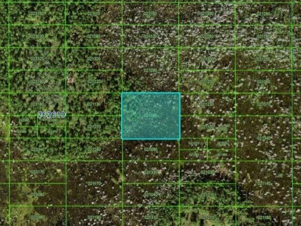 OLD GRADE RD, POLK CITY, FL 33868