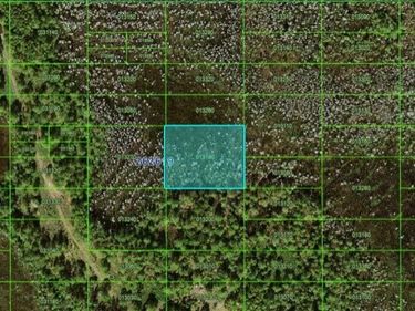 OLD GRADE RD, POLK CITY, FL 33868