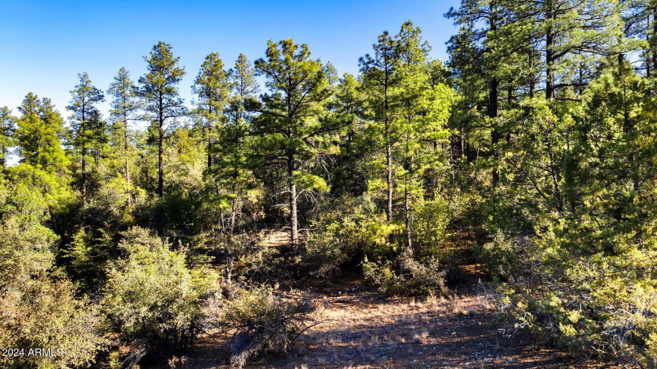 1101 WHITE SPAR Road, Prescott, AZ 86303