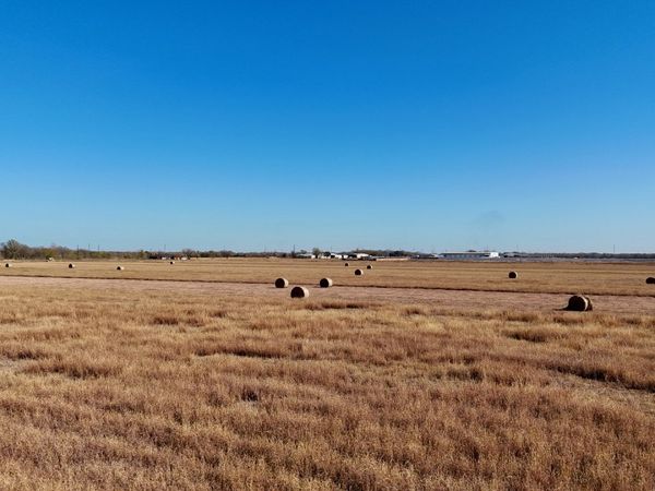 TBD FM 463, Natalia, TX 78059