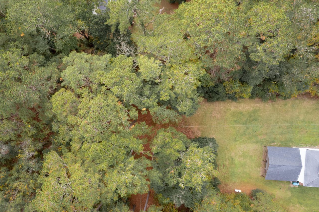 0 Bohicket Road Photo 12