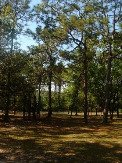 00 Castillo Dr, Alford, FL 32420 Photo