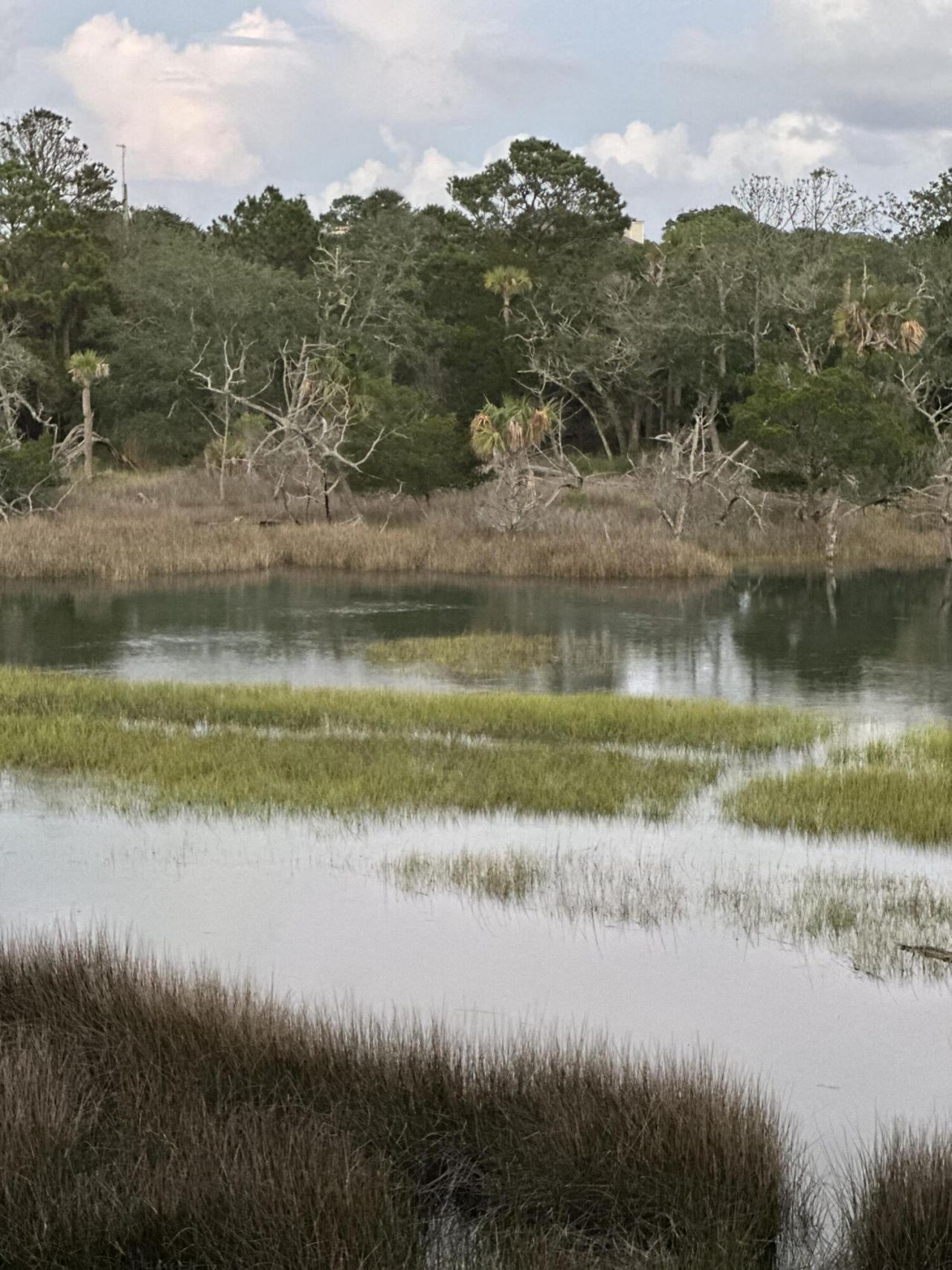 8 Seagrass Lane Photo 49