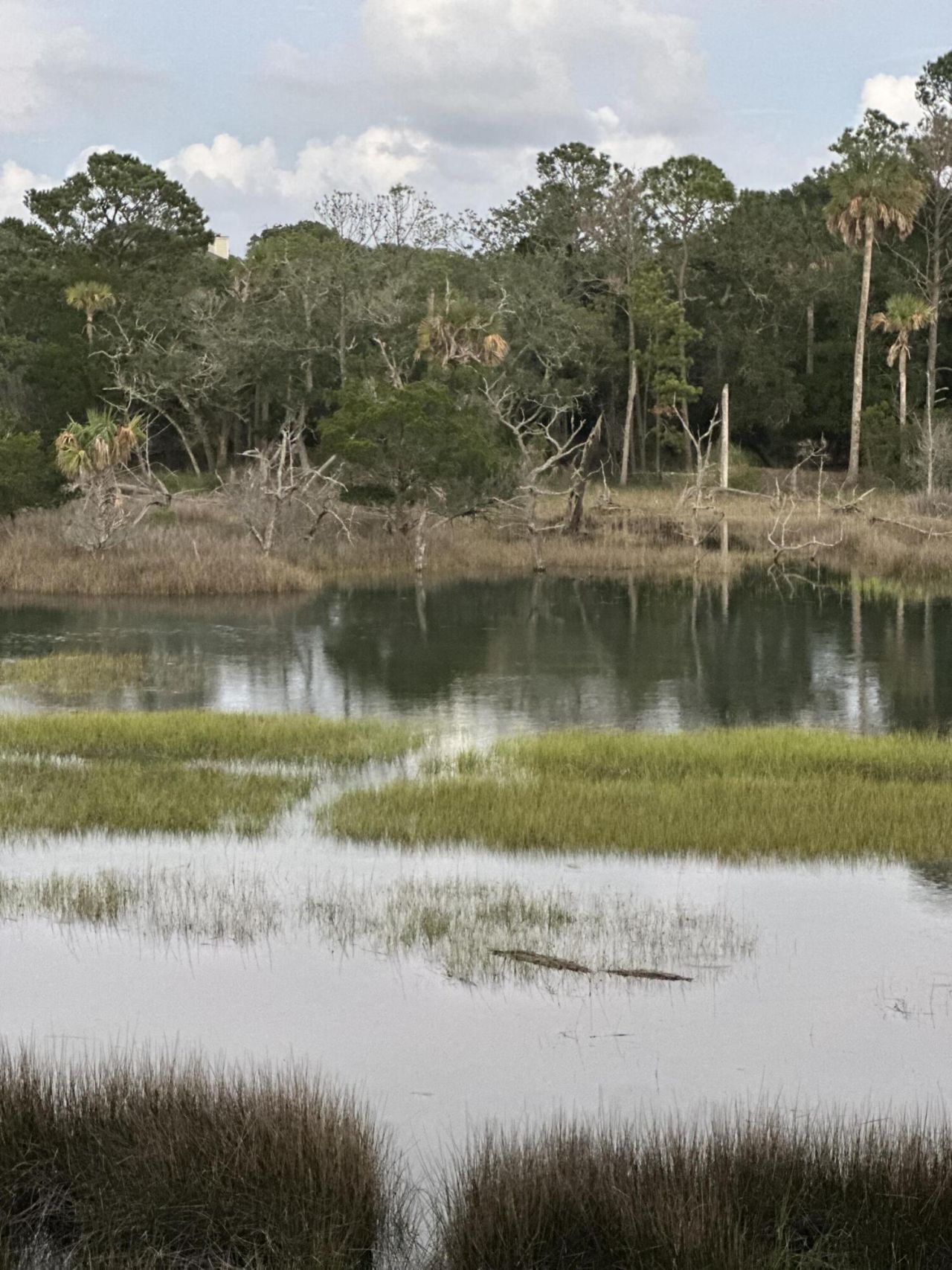 8 Seagrass Lane Photo 50