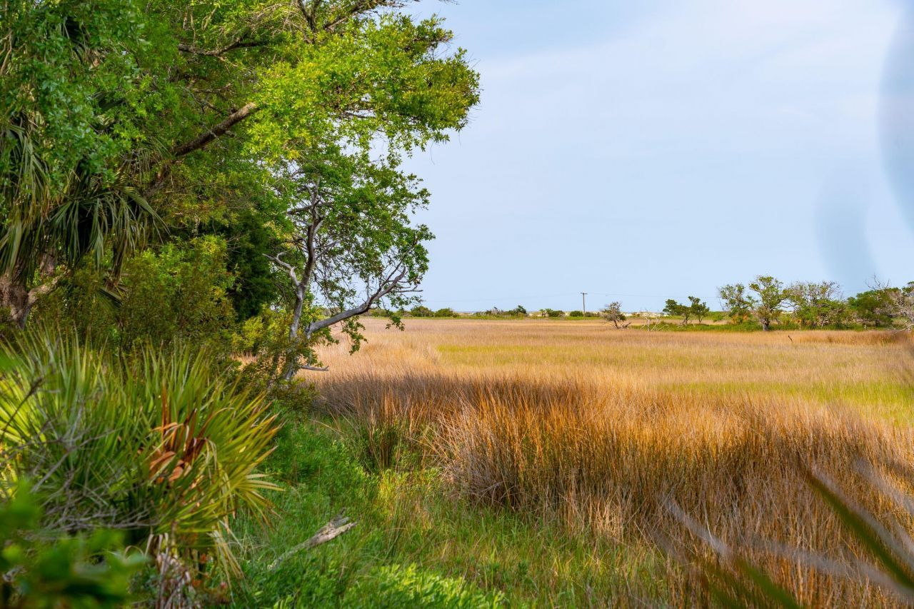 8 Seagrass Lane Photo 67