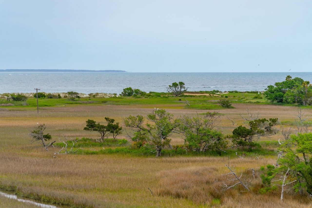 8 Seagrass Lane Photo 69