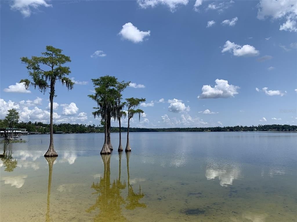 00 Tamarac Rd, Marianna, FL 32448 Photo