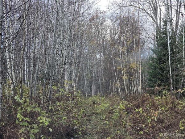 TBD Fence River Road, Republic Twp, MI 49879