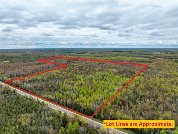 TBD M67 Highway, Limestone Twp, MI 49816