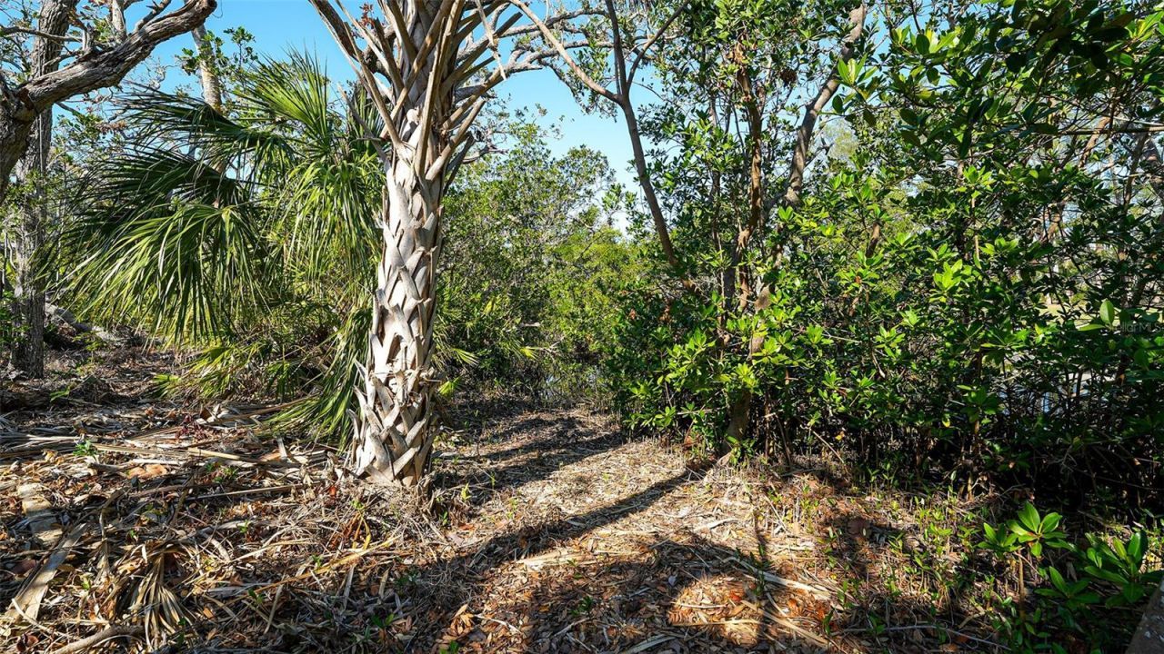 660 Longview Drive, Longboat Key, FL 34228 Photo