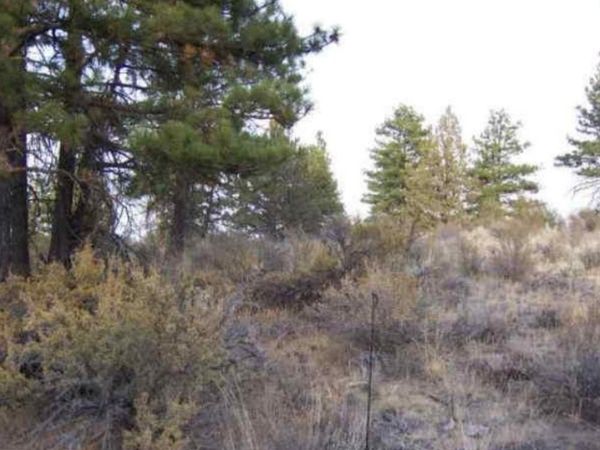 43056 Fuego Mt Drive, Beatty, OR 97621