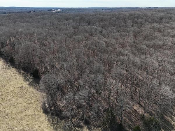 TBD Tract 1 Highway CC, Salem, MO 65560