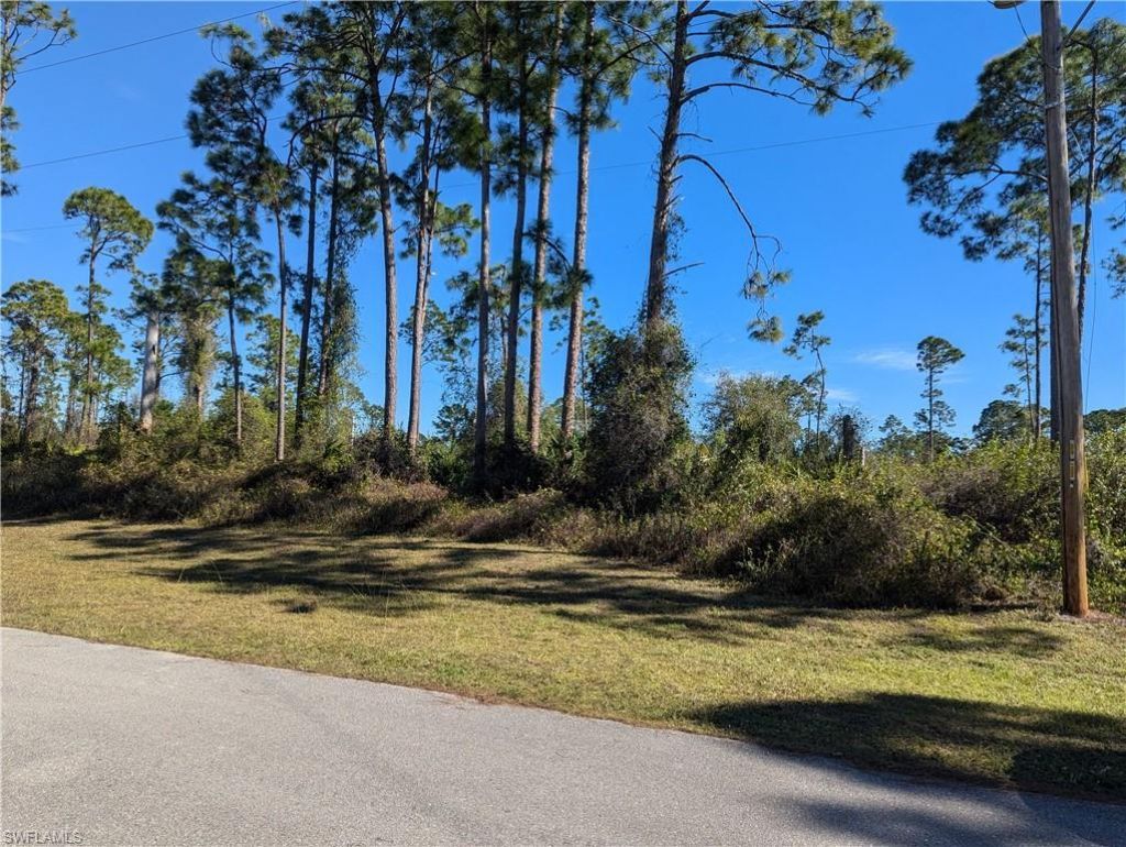 817 Pinecastle Dr, Lehigh Acres, FL 33974 Photo