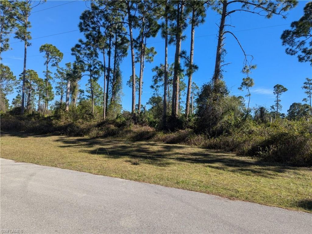 817 Pinecastle Dr, Lehigh Acres, FL 33974 Photo