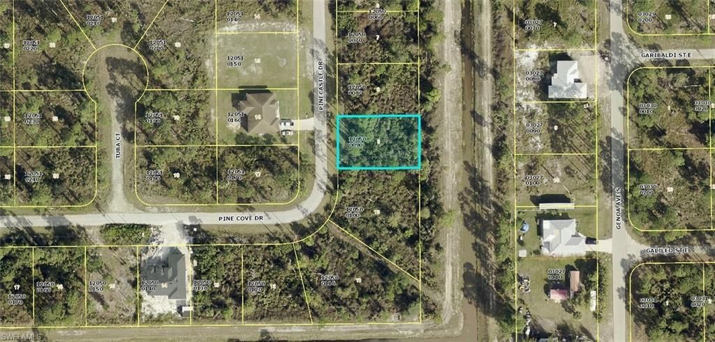 817 Pinecastle Dr, Lehigh Acres, FL 33974 Photo