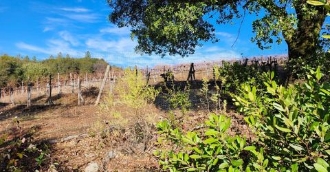 3000 Gravel Ct, Placerville, CA 95667 Photo