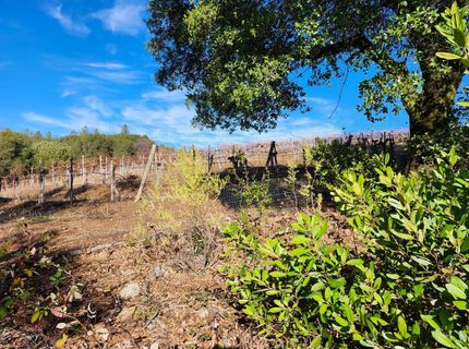 3000 Gravel Ct, Placerville, CA 95667 Photo