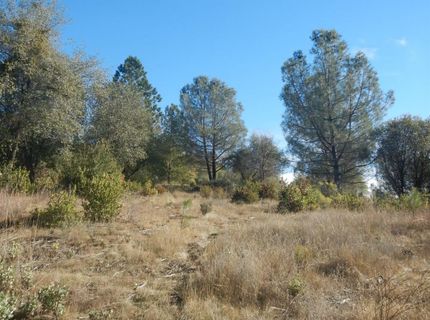 3000 Gravel Ct, Placerville, CA 95667 Photo