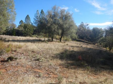 3000 Gravel Ct, Placerville, CA 95667 Photo