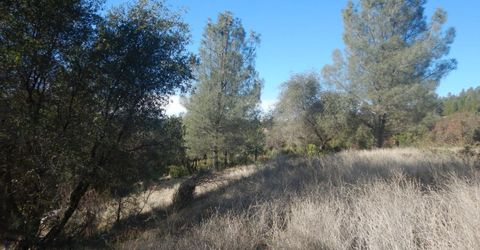 3000 Gravel Ct, Placerville, CA 95667 Photo