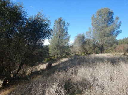 3000 Gravel Ct, Placerville, CA 95667 Photo