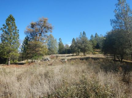 3000 Gravel Ct, Placerville, CA 95667 Photo