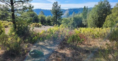 3000 Gravel Ct, Placerville, CA 95667 Photo