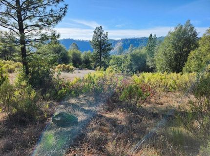 3000 Gravel Ct, Placerville, CA 95667 Photo