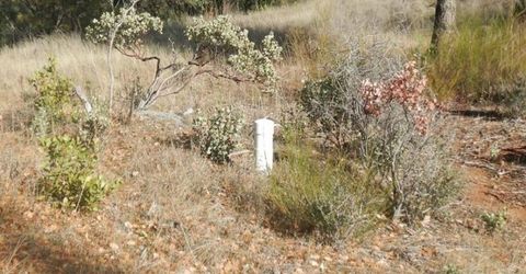 3000 Gravel Ct, Placerville, CA 95667 Photo