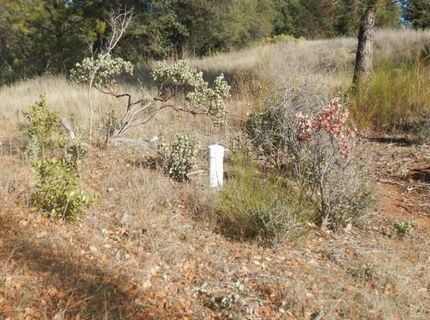 3000 Gravel Ct, Placerville, CA 95667 Photo