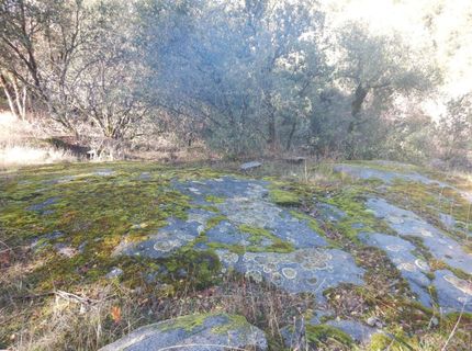 3000 Gravel Ct, Placerville, CA 95667 Photo