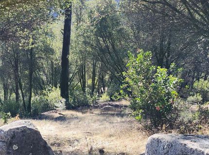 3000 Gravel Ct, Placerville, CA 95667 Photo