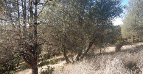 3000 Gravel Ct, Placerville, CA 95667 Photo