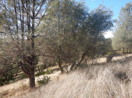 3000 Gravel Ct, Placerville, CA 95667 Photo