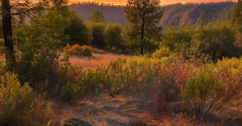 3000 Gravel Ct, Placerville, CA 95667 Photo