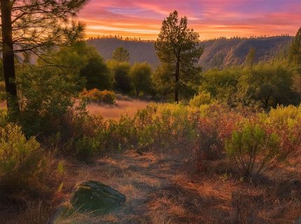 3000 Gravel Ct, Placerville, CA 95667 Photo