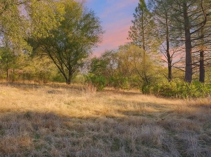 3000 Gravel Ct, Placerville, CA 95667 Photo