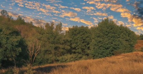 3000 Gravel Ct, Placerville, CA 95667 Photo