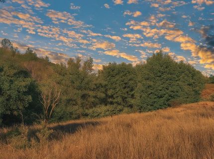 3000 Gravel Ct, Placerville, CA 95667 Photo