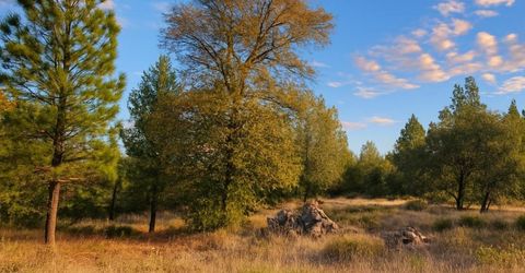 3000 Gravel Ct, Placerville, CA 95667 Photo