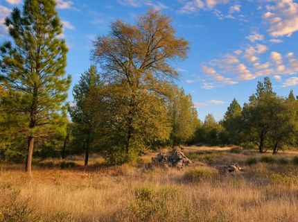 3000 Gravel Ct, Placerville, CA 95667 Photo