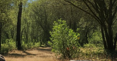 3000 Gravel Ct, Placerville, CA 95667 Photo