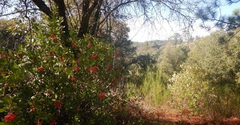 3000 Gravel Ct, Placerville, CA 95667 Photo