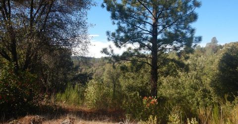 3000 Gravel Ct, Placerville, CA 95667 Photo