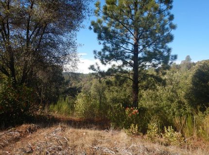 3000 Gravel Ct, Placerville, CA 95667 Photo