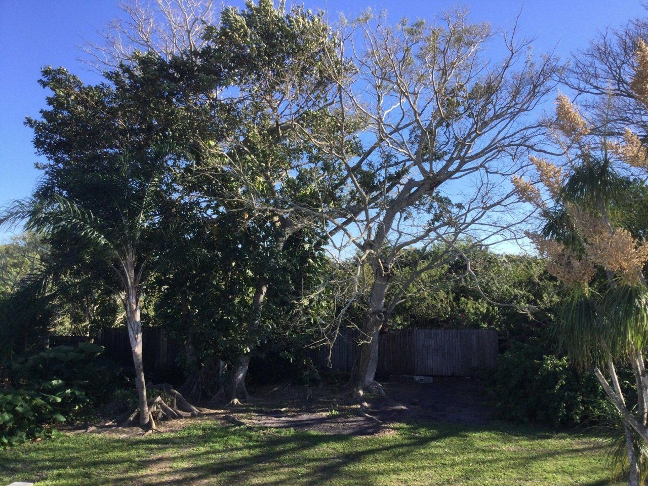 100 SE Naranja Avenue, Port Saint Lucie, FL 34983 Photo