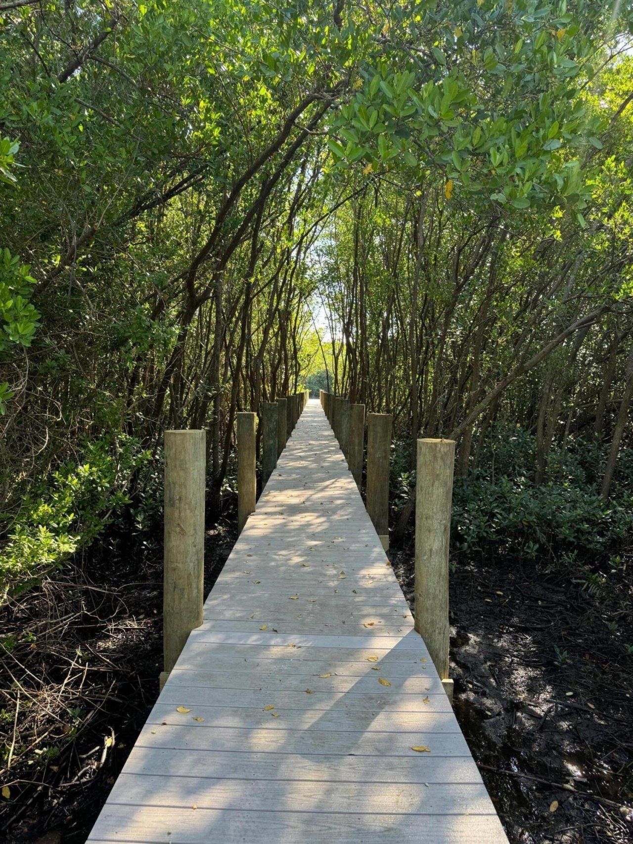 206 SE Fiore Bello, Port Saint Lucie, FL 34952 Photo