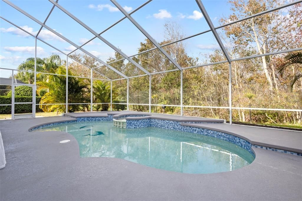 22847 Sonoma Lane, Lutz, FL 33549 Photo