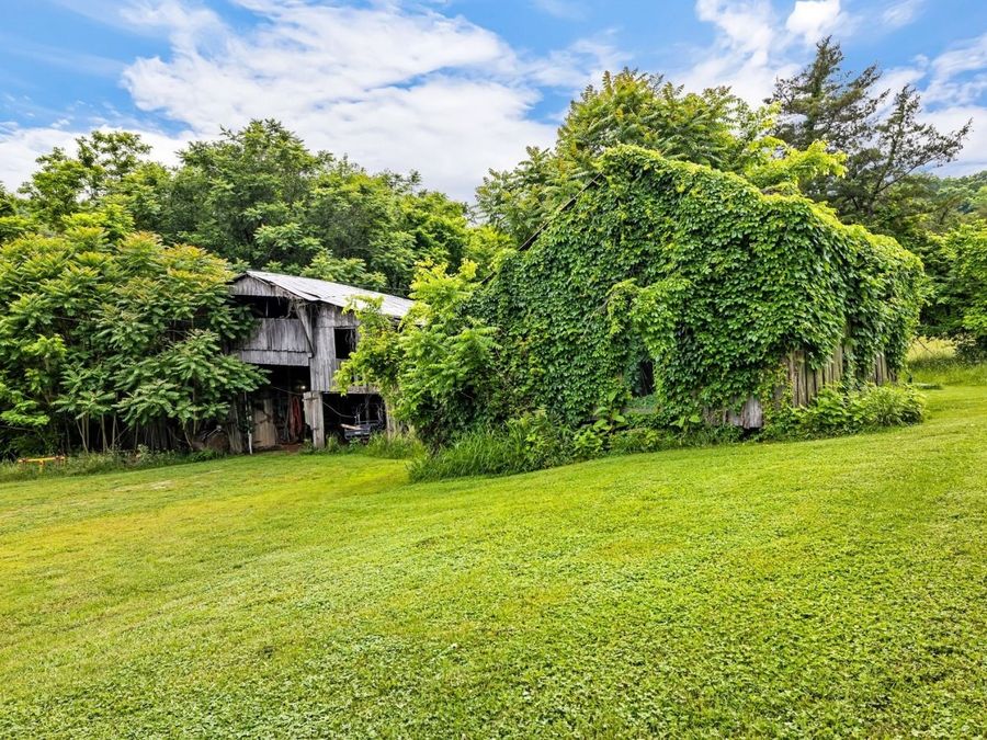 Property Image 38